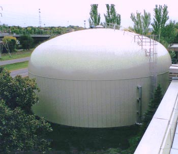 Large dome-shaped industrial storage tank with a smooth light-colored surface and a metal ladder on the side, set in an outdoor area with trees and a road in the background.